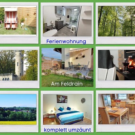 Am Feldrain - Urlaub Mit Hund Im Weserbergland Hannoversch Münden Εξωτερικό φωτογραφία