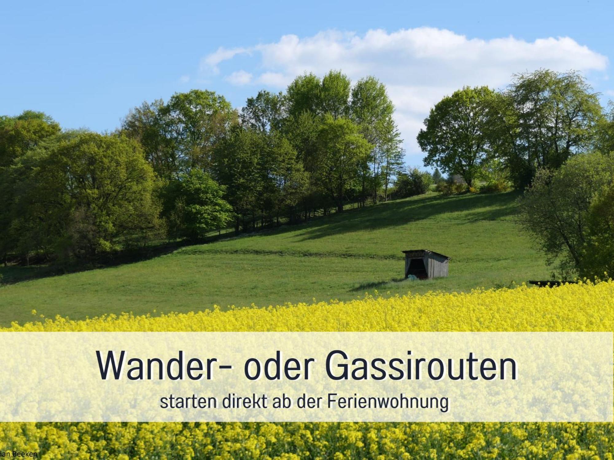 Am Feldrain - Urlaub Mit Hund Im Weserbergland Hannoversch Münden Εξωτερικό φωτογραφία